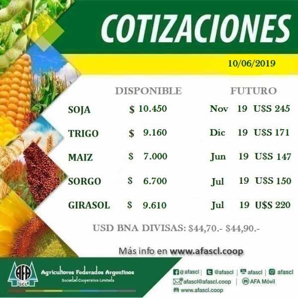 AFA Humboldt cotización granos  10 / 6 /2019
