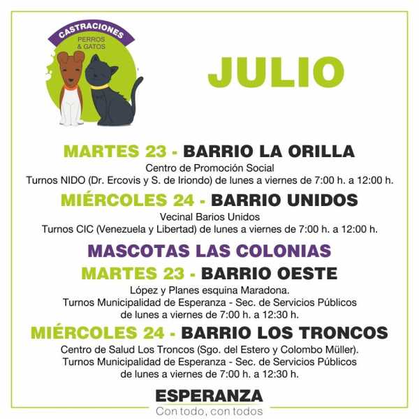 Municipalidad informa dias y lugares castraciones perros y gatos en mes de julio