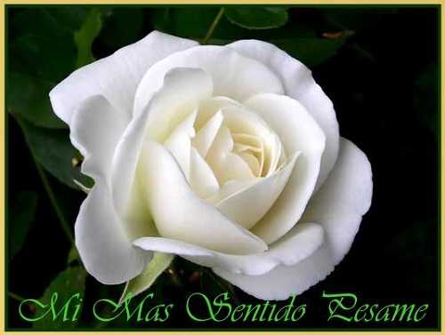 Falleció en Humboldt Francisco Antonio Brechbuhl (Panchito), 99 años,