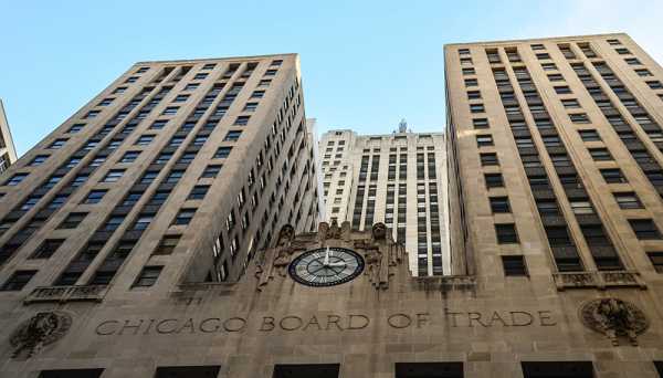 Derrumbe generalizado del precio de los granos en Chicago La oleaginosa profundizó las pérdidas matutinas, cayendo 6 U$S/tn.