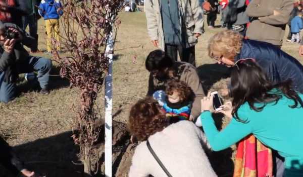 La tradicional plantación masiva de árboles se realizará el domingo 25 de Agosto en el Área Industrial Esperanza
