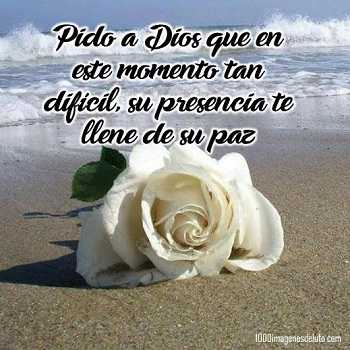 3 FALLECIMIENTOS 18/8/2019  Esperanza 84 años.- Natalio Primo Ribba = 88 años. Rogelio Luis Grenon.=77 años.- Delia Catalina Mottura de Muller.-