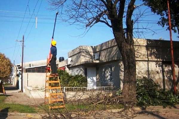 Aclaración El Gobierno de la ciudad informa respecto a la poda -y recolección de ramas- que realiza la EPE para despejar las líneas aéreas de media tensión