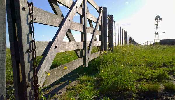 De cada $100 que genera el campo, $56,4 se van en impuestos