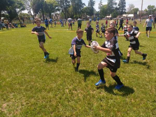 ALMA JRS informa actividades de estos dias  27 - 11 -2019