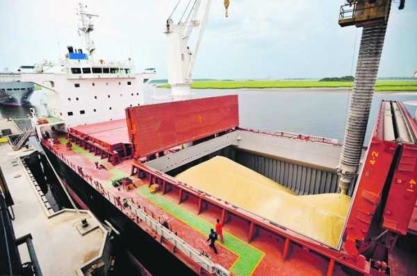 La soja ya paga hasta 45% de retenciones  1/11/2019