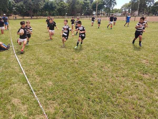 RUGBY Pasó otro exitoso encuentro infantil equipos de Córdoba, Santa Fe y Santo Tomé. en el Polideportivo Alma Jrs
