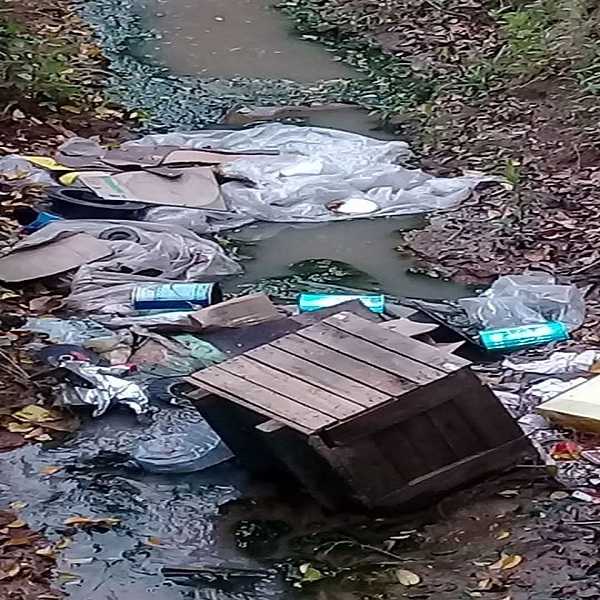 Sin palabras que necesidad hay de arrojar al canal principal