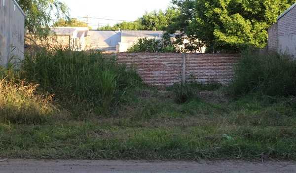 El Gobierno de la Ciudad recuerda la obligatoriedad del desmalezado de lotes e inmuebles.