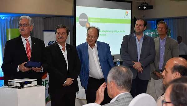 Cómo es el plan estratégico que presentó el sector forestal con miras al 2030