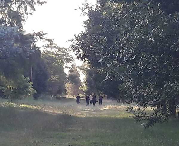 POLICIALES INFORMES  Domigo 19 Lunes 20 / 1 / 2020 Dto Las Colonias  
