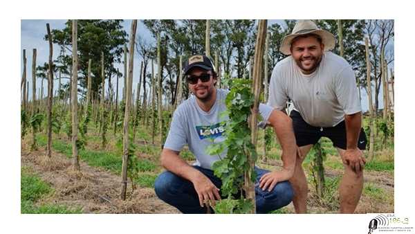El primer viñedo de Sta Fé ya es una realidad esta en la localidad de Arteaga