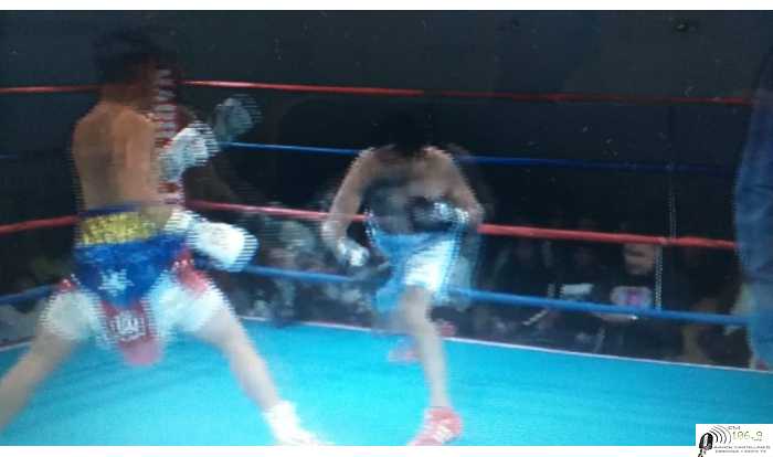 Perdió Néstor Paniagua frente a Jemy Cuevas en EEUU  x nocaut