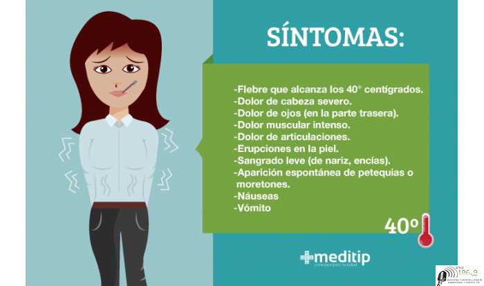 Qué es el dengue aqui para aprender como se transmite