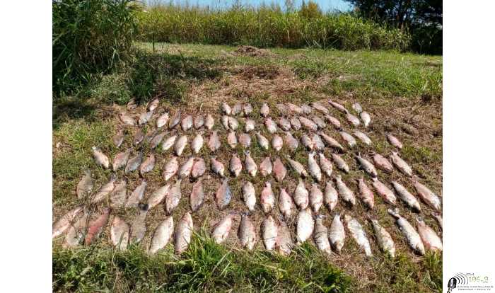 POLICIALES  23/3/2020 Dto Las Colonias pescados en mal estado,mas informes