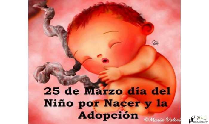 “HACERSE CARGO DE TODA LA VIDA Y DE LA VIDA DE TODOS” 25 de Marzo: Día del Niño por Nacer