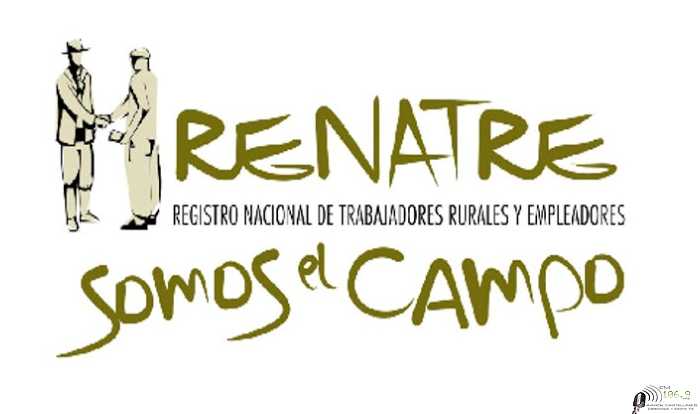 El RENATRE realizará los pagos de la Prestación por Desempleo del 7 al 23 de abril inclusive