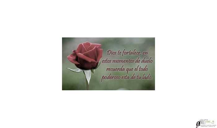 Falleció Martes 7 abril en Esperanza.Ofelia Irene Gor a la edad de 84 años.