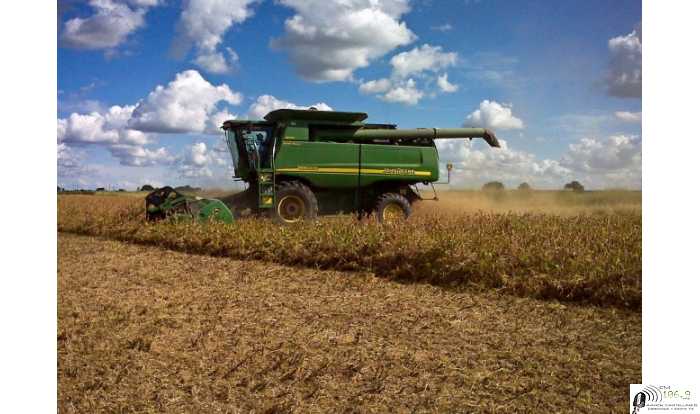  Advierten que baja de la demanda global impactará en la cotización de la soja y el trigo