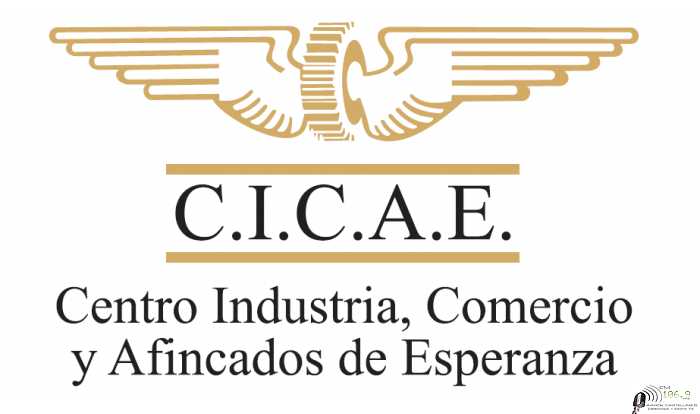 CICAE INFORMA La AFIP habilitó la carga de datos para el programa que ayuda a las empresas a pagar los sueldos (ATP) - Programa de asistencia al trabajo.