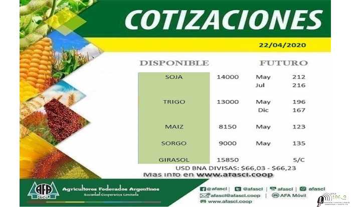 AFA Humboldt cotización granos  22 / 4 /2020