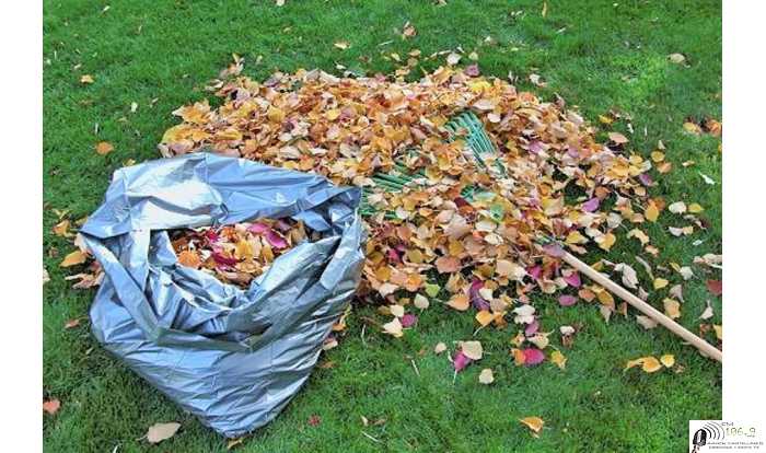 Entrega de bolsas por inicio de temporada otoñal 2020.