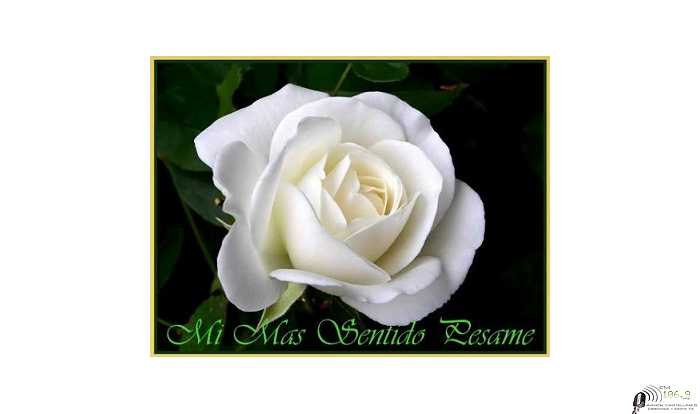 Falleció Martes 28  abril en Esperanza  Elba  Maria Amadio de Bonfanti  