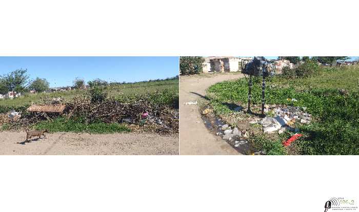 Con un camión 2 empleados y alguien que explique como se convive con los vecinos se soluciona