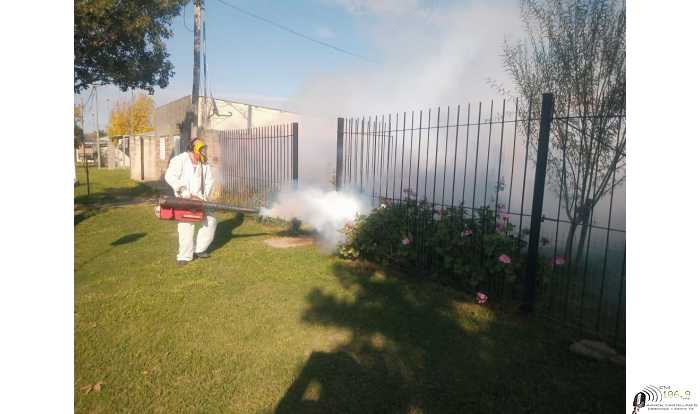 Debemos tener mucha responsabilidad civil, también para con el dengue” explicó Vega