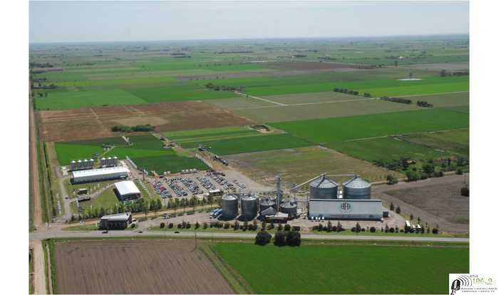  Programa de Beneficios al Socio Consecuente “SIENTO X100 AFA