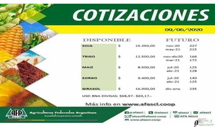 AFA Humboldt cotización granos  10 / 6 /2020