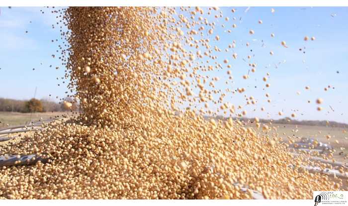 Cierres económicos y de producción   Julio 3/7/ 2020