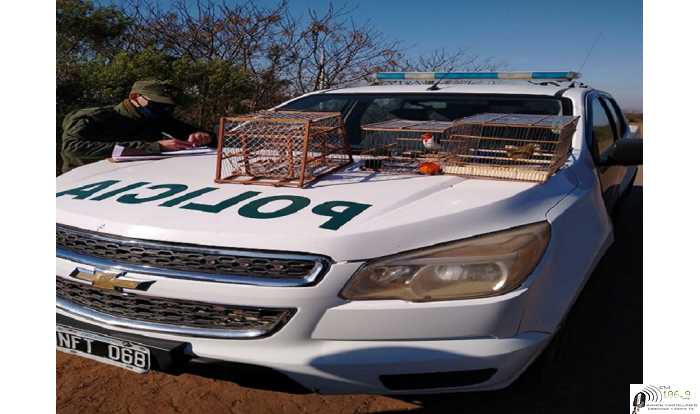 Juan Martin Mastropaolo Espectacular operativo sobre camino ABC cerca de la escuela ,tres personas en infraccion a la ley nacional 22421