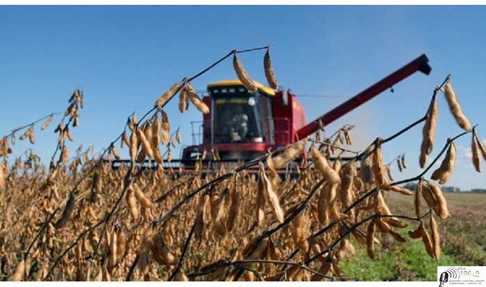 Cierres económicos y de producción Julio 10/7/ 2020