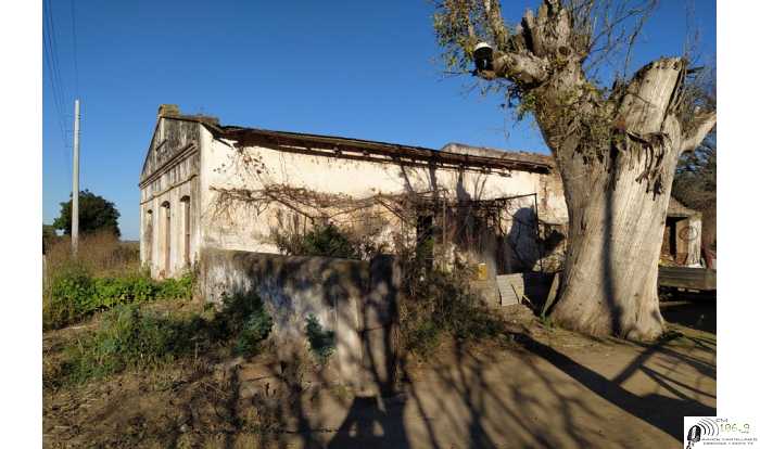 Pirola pide por la preservación,restauración y puesta en valor de la casa de Juan Grenón en Esperanza  