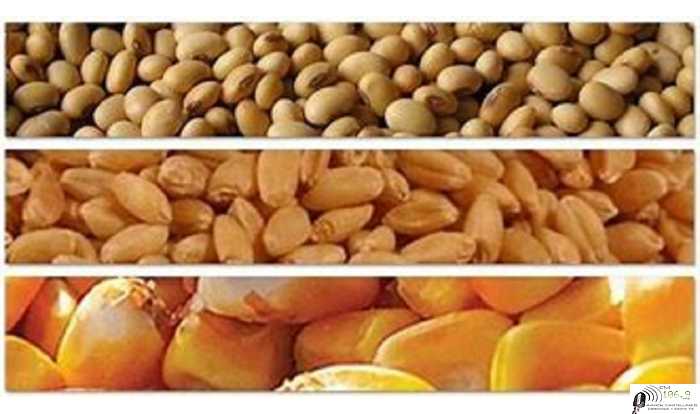 Cierres Mercados Económicos y de Producción fin de semana Julio 24 /7/ 2020