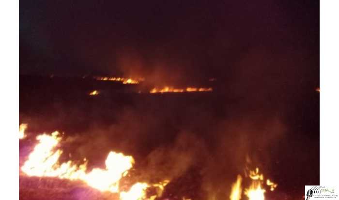 Fuego en las islas: especialistas proponen estudiar causas para aclarar los hechos, Dr. José Pensiero docente investigador de la Facultad de Ciencias Agrarias (UNL)