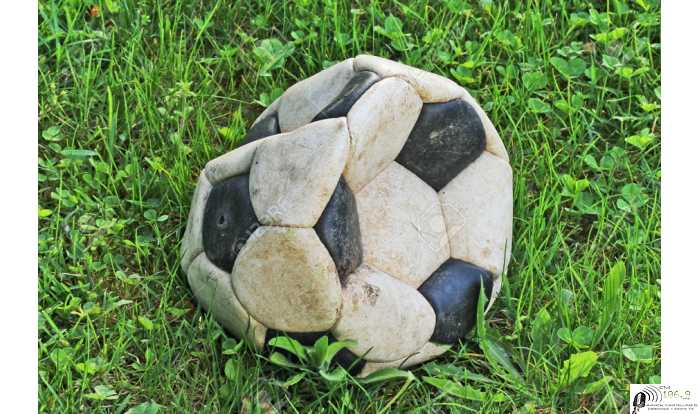 La LEF dió por finalizados los torneos 2020