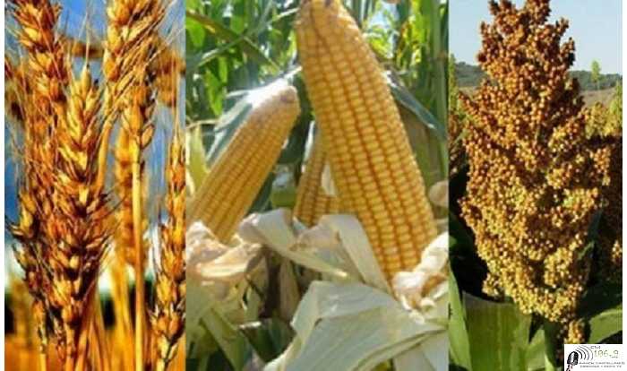 Precios varios cotizaciones del fin de semana 21/8/2020