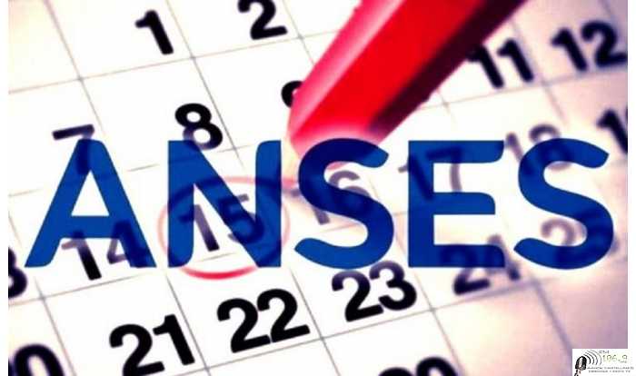 La ANSES informó cómo será el calendario de pago del mes de septiembre para jubilados y pensionados ( ver fechas)