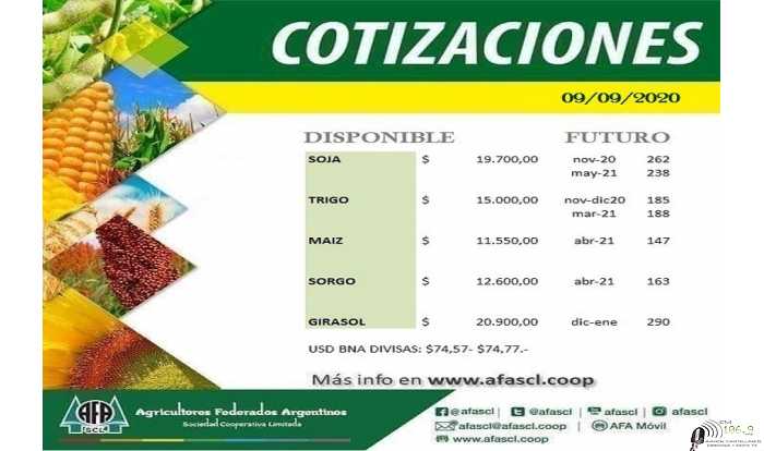 Cotización AFA Humboldt  9/9/2020