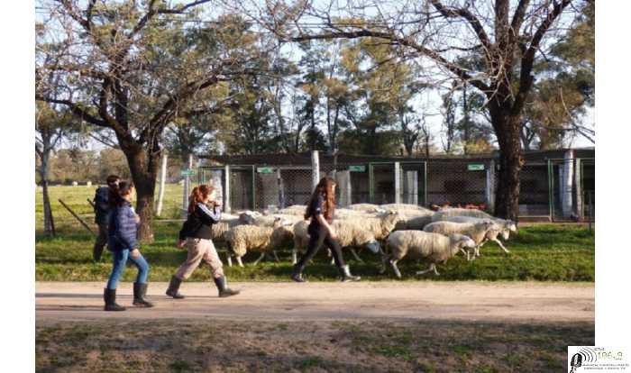 Educación secundaria  Abre la inscripción al ciclo lectivo 2021 de la Escuela Granja
