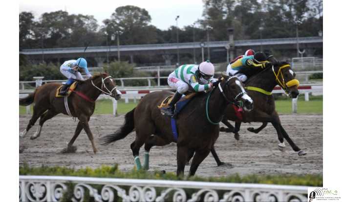 Carreras de las Estrellas en Palermo Brian Enrique logró llegar primero gran emoción del Esperancino (ver video)