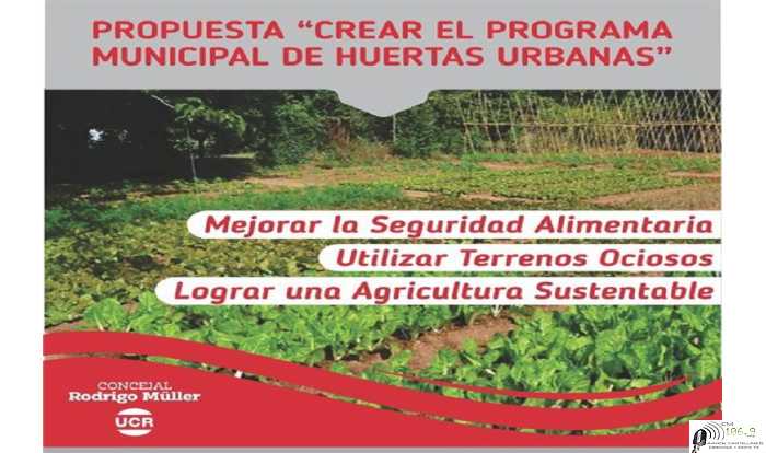  Solicita crear el programa Municipal de Huertas Urbanas Concejal Rodrigo Müller