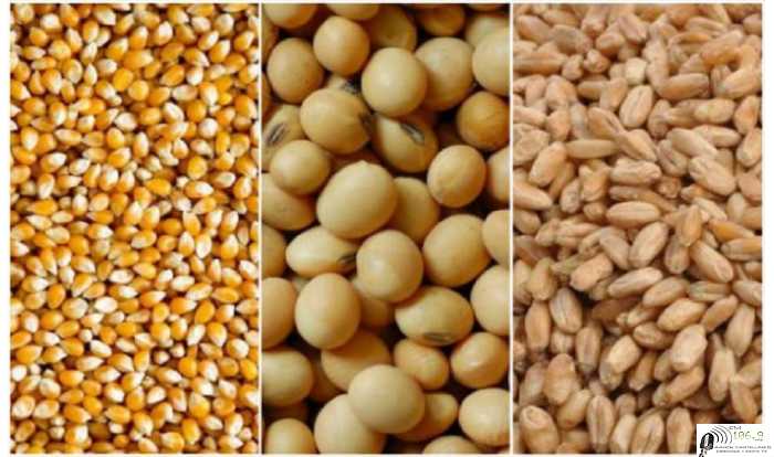 Cierres de fin de semana       6-11-2020 granos , petroleo,dolar 