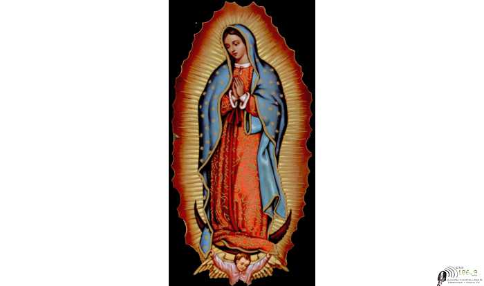 Novena en preparación a la Fiesta Patronal Virgen de Guadalupe -Barrio Los Troncos
