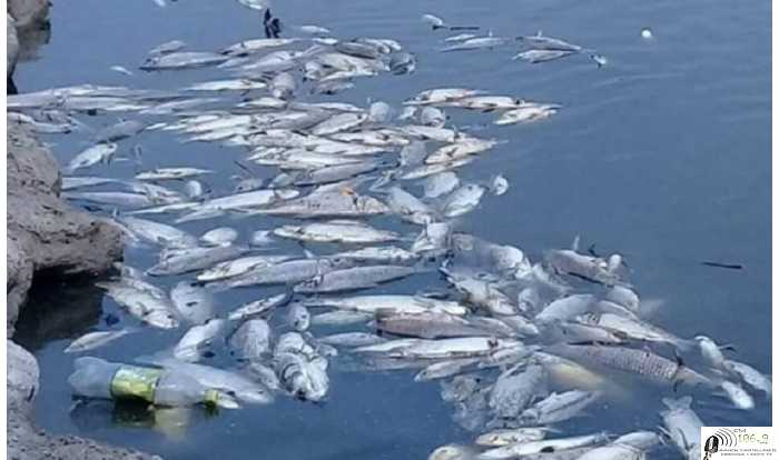 De manera activa el Gobierno de la Ciudad presente en el control del río Salado, comparte información.