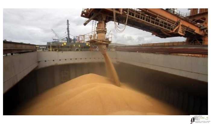 Cotización de granos varios,petróleo,dolar , cierre de semana  18  / 12 / 2020