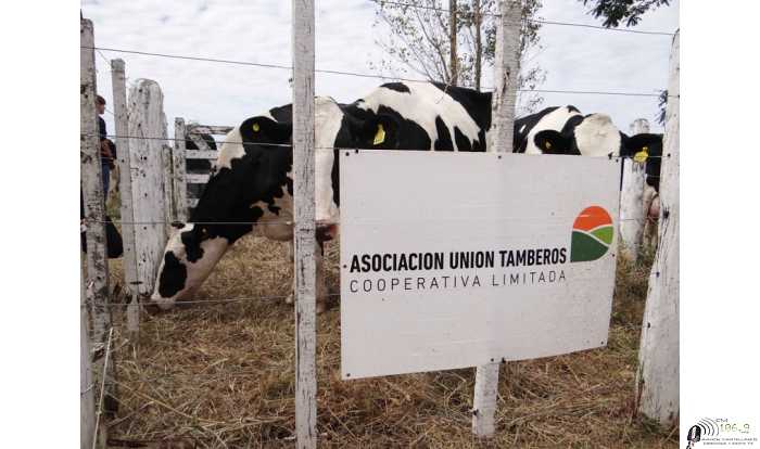 Asoc Unión Tamberos llama asamblea para el 15 de Enero 2021