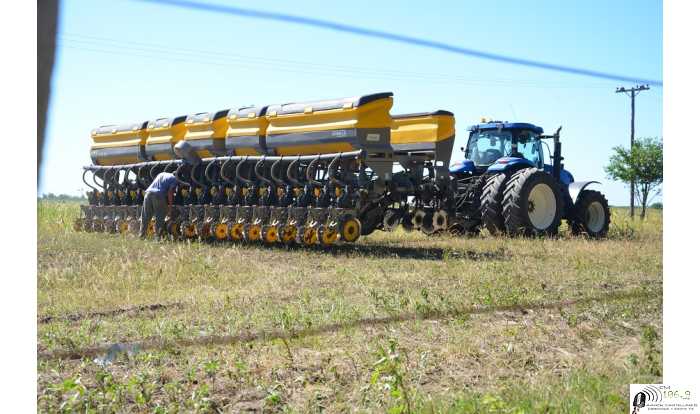 La Sociedad Rural de Las Colonias  realizó siembra de maiz con destino choclos solidario